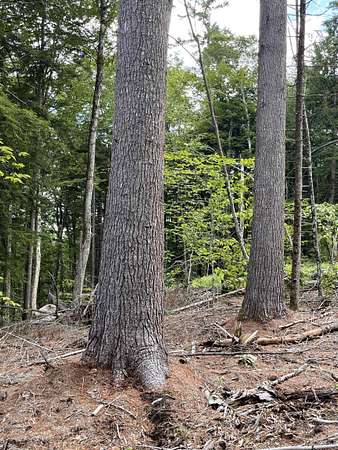 158 Acres of Recreational Land for Sale in Acworth, New Hampshire