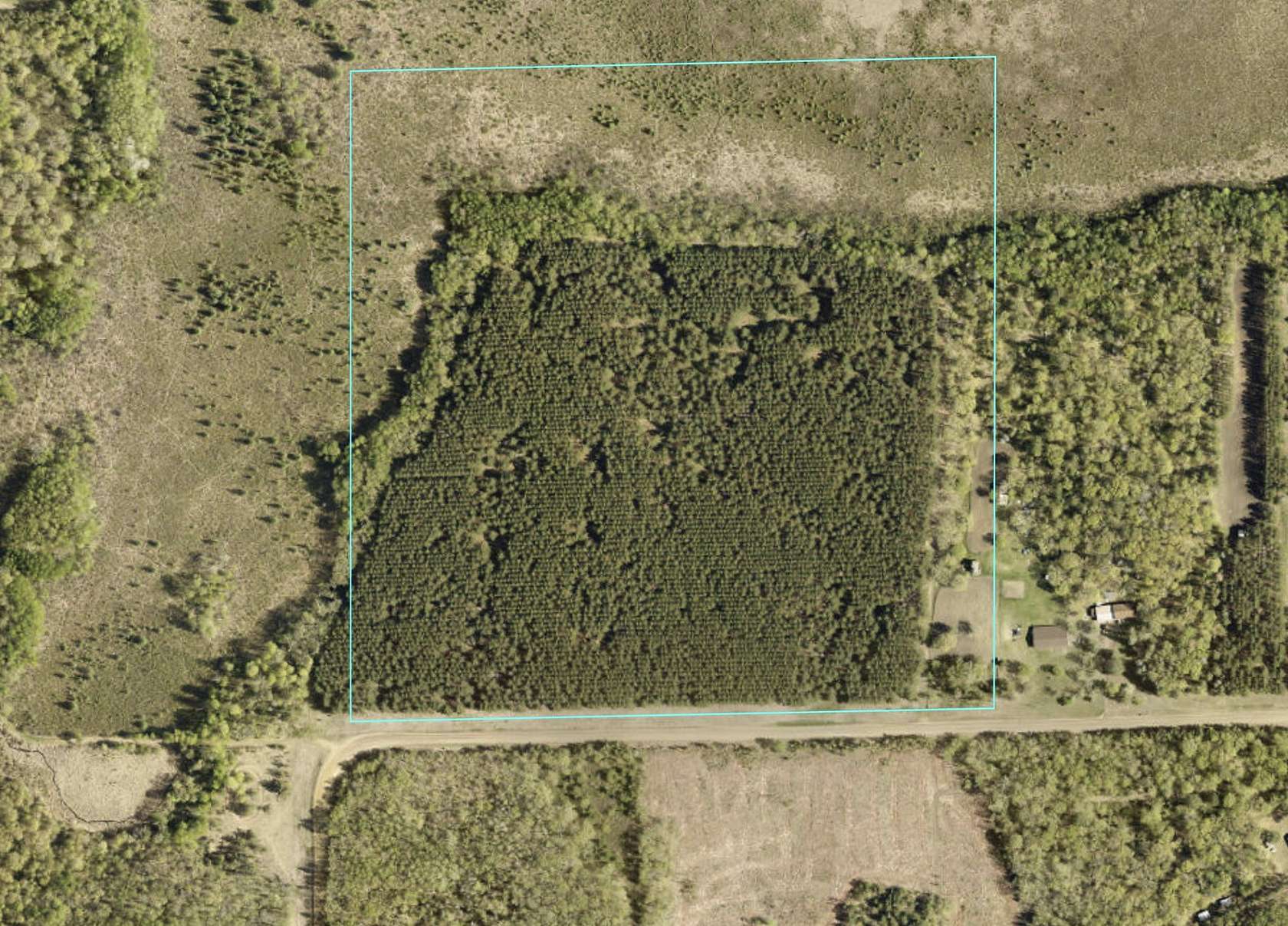 40.4 Acres of Agricultural Land for Sale in Motley, Minnesota