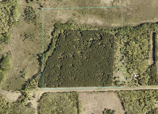 40.4 Acres of Agricultural Land for Sale in Motley, Minnesota