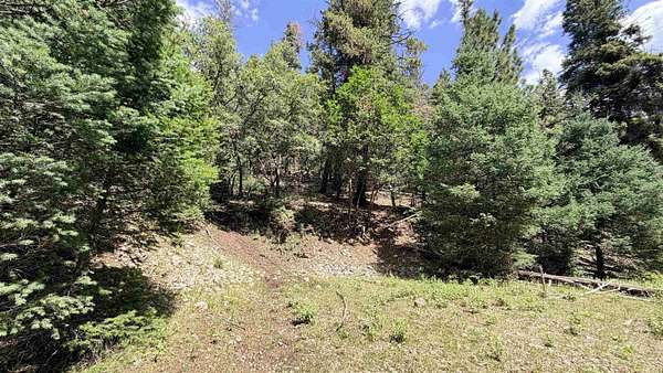 10 Acres of Land for Sale in Cloudcroft, New Mexico