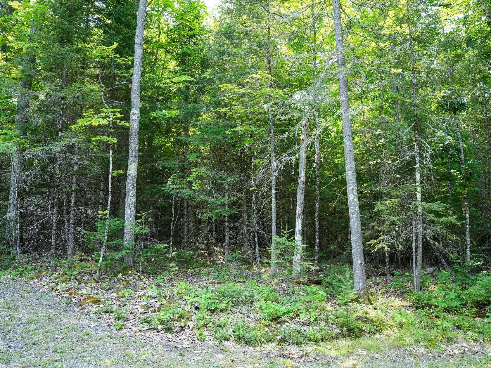7.65 Acres of Residential Land for Sale in Phelps, Wisconsin