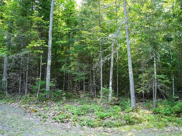 7.65 Acres of Residential Land for Sale in Phelps, Wisconsin