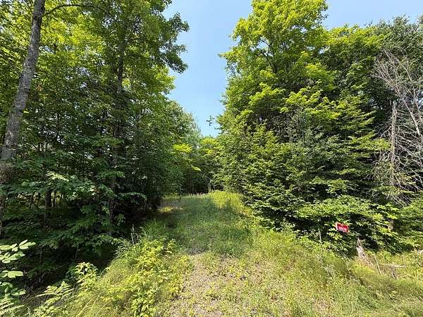 3 Acres of Residential Land for Sale in Oma Town, Wisconsin