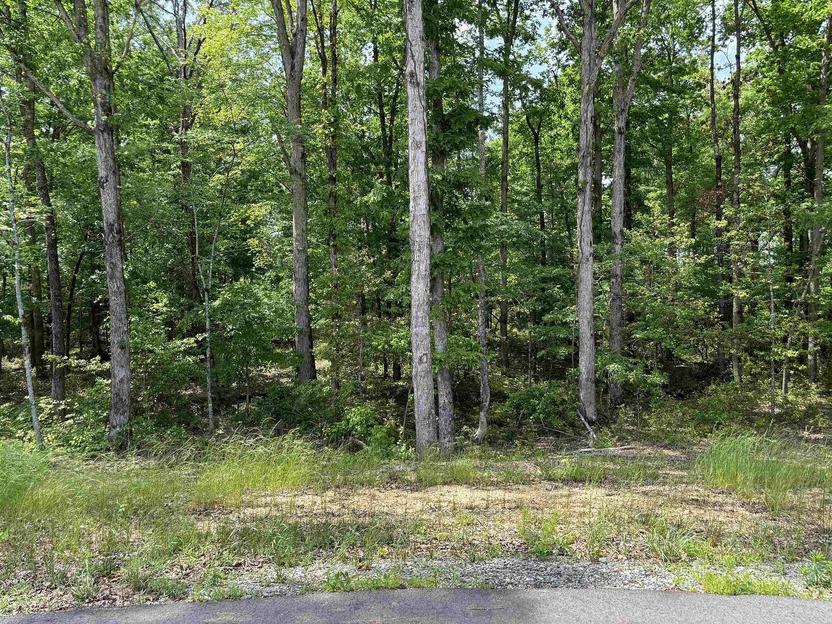 4.22 Acres of Land for Sale in Sheridan, Arkansas