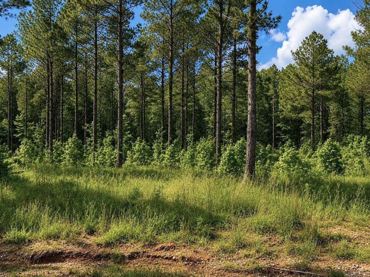 4.45 Acres of Land for Sale in Sheridan, Arkansas