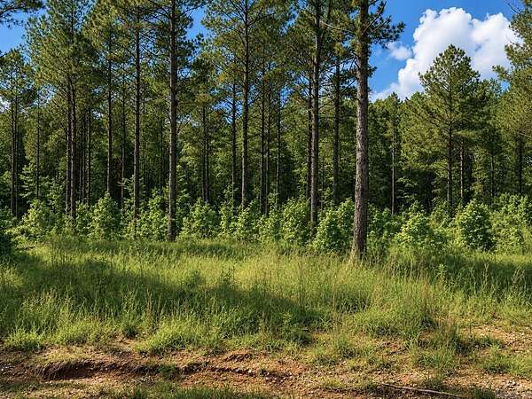 4.45 Acres of Land for Sale in Sheridan, Arkansas