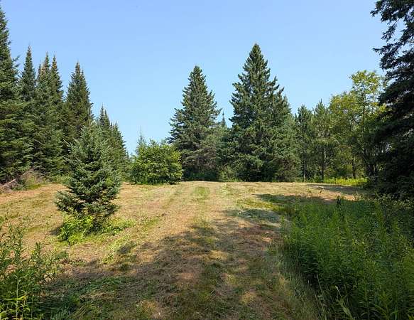 30.3 Acres of Recreational Land for Sale in Butternut, Wisconsin