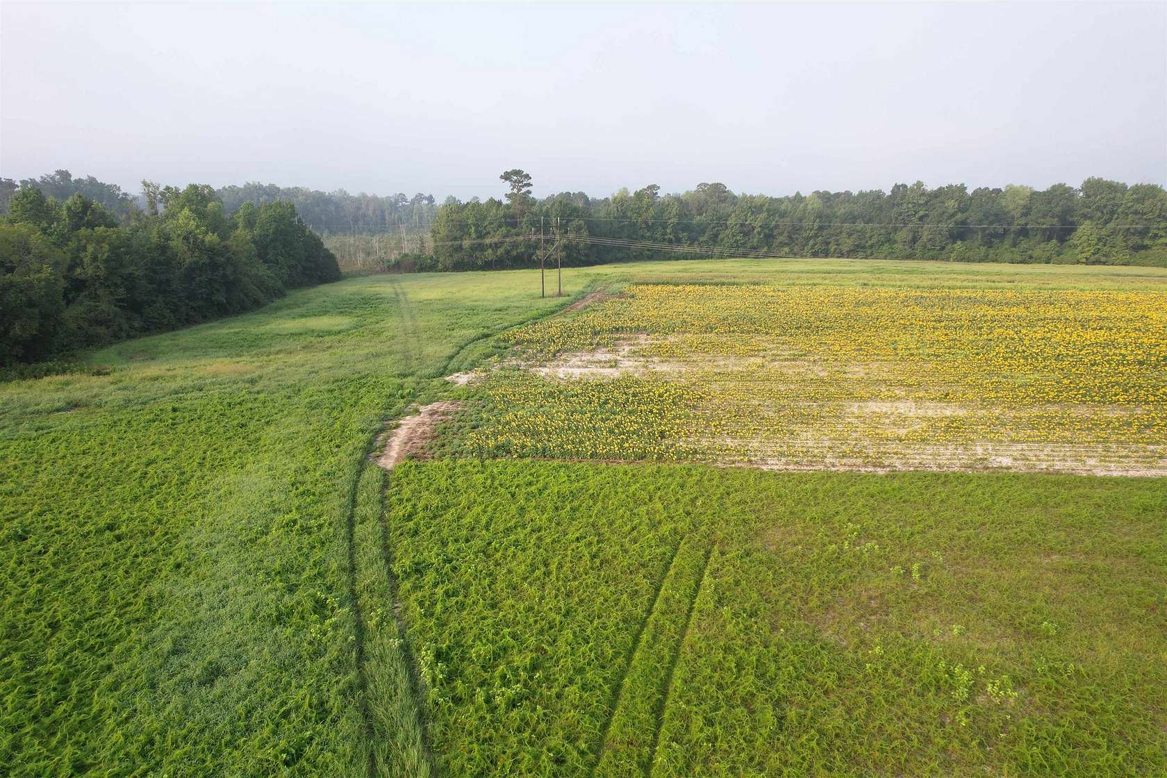 9.58 Acres of Residential Land for Sale in Johnsonville, South Carolina