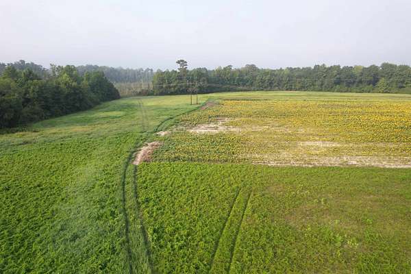 9.58 Acres of Residential Land for Sale in Johnsonville, South Carolina