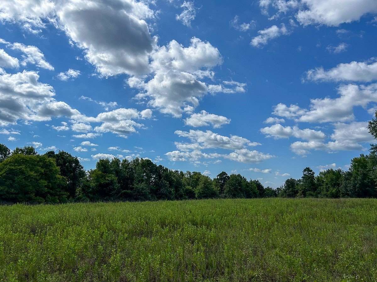 15 Acres of Land for Sale in Rusk, Texas