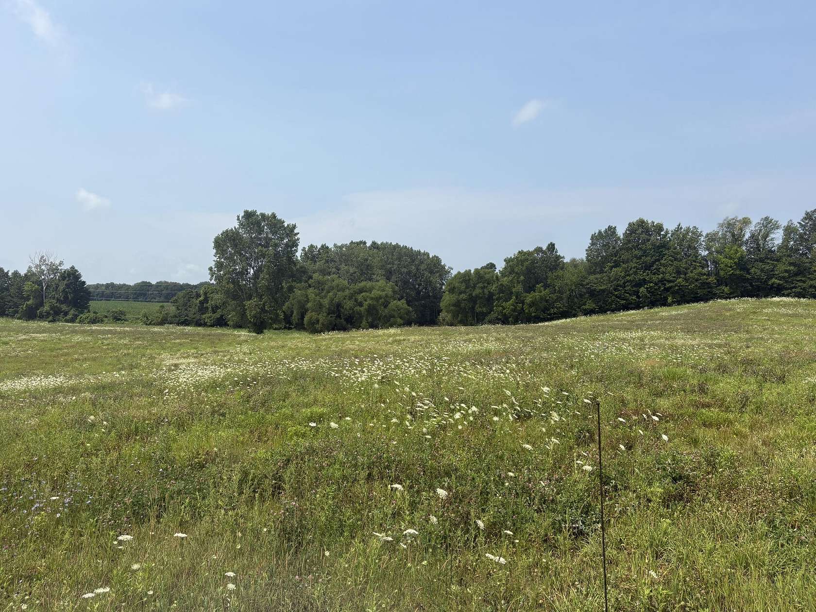 12.5 Acres of Land for Sale in Buchanan, Michigan
