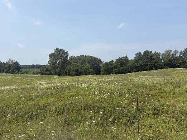 12.5 Acres of Land for Sale in Buchanan, Michigan
