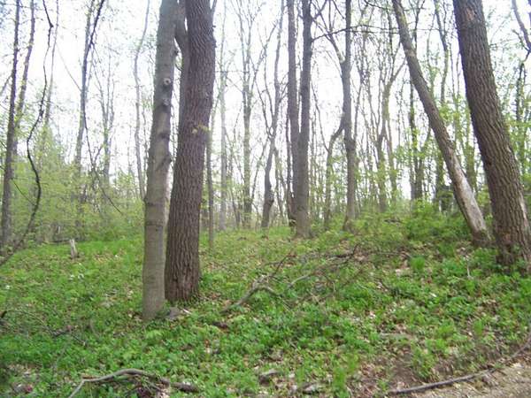 1.67 Acres of Land for Sale in Coloma, Michigan