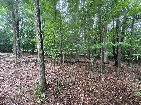 0.5 Acres of Residential Land for Sale in Canton, Pennsylvania