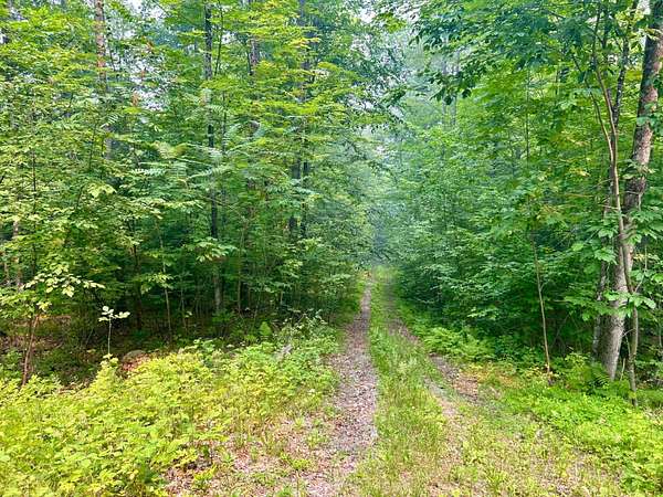 6 Acres of Residential Land for Sale in White Lake, Wisconsin