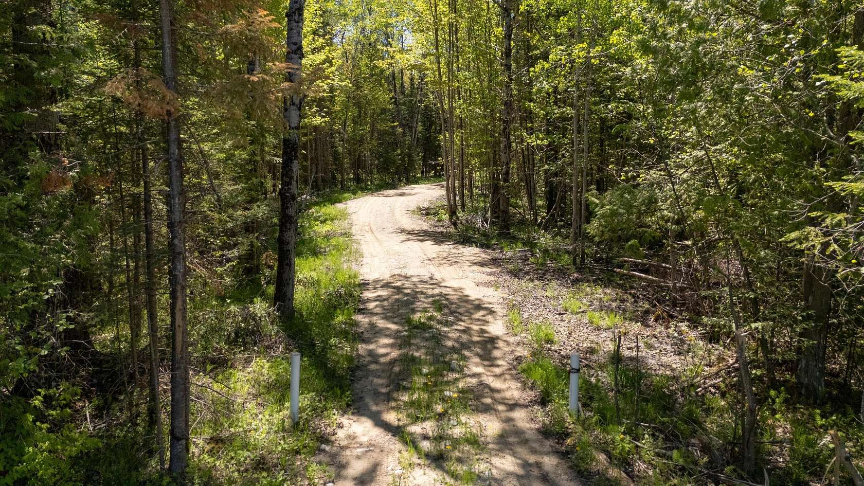 25 Acres of Recreational Land for Sale in Newberry, Michigan
