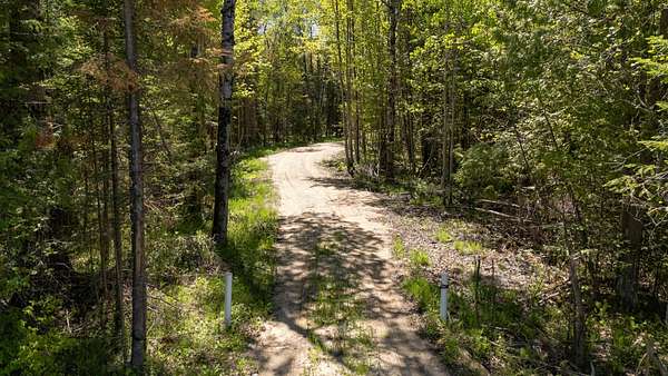 25 Acres of Recreational Land for Sale in Newberry, Michigan