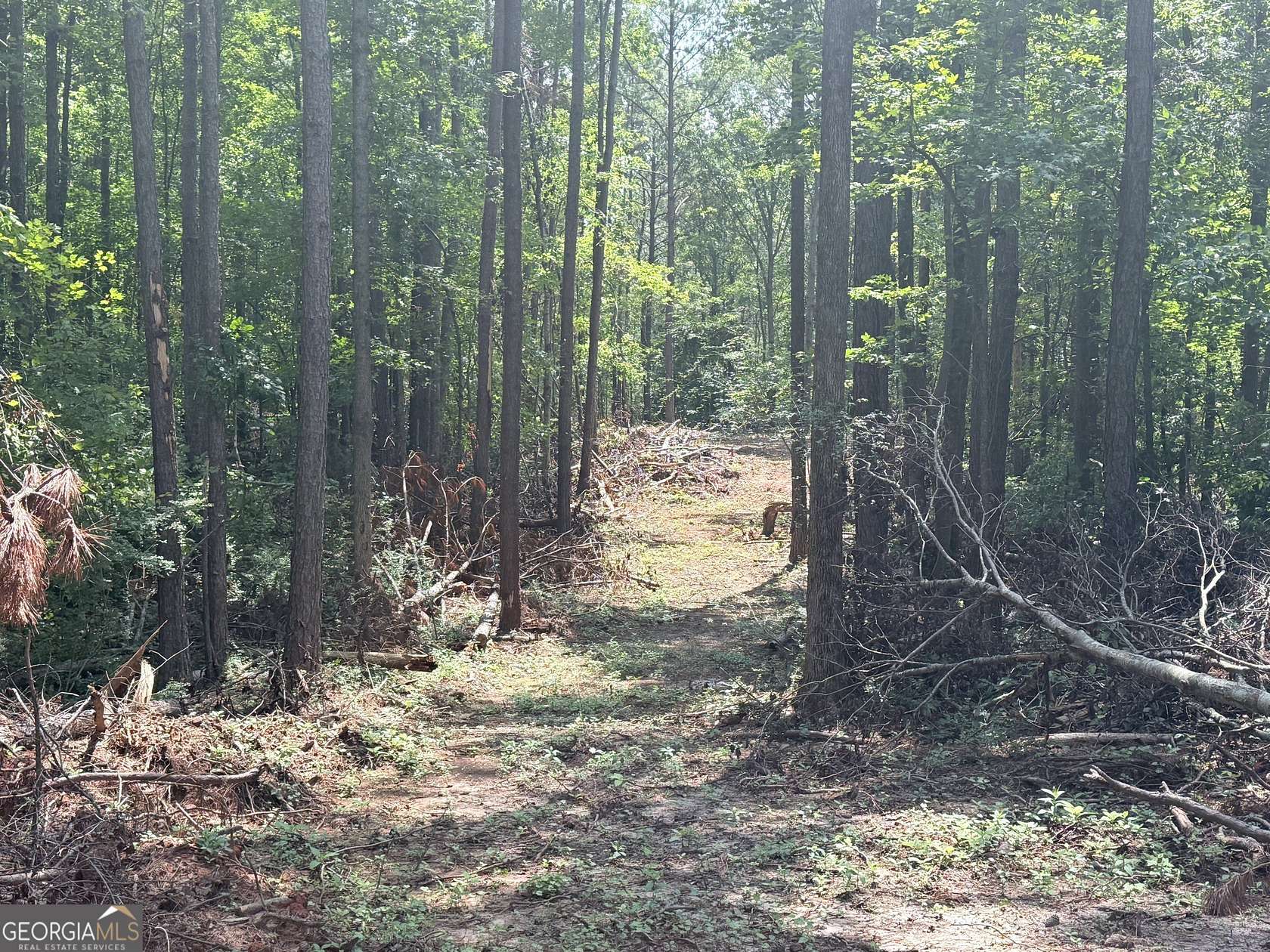 5 Acres of Residential Land for Sale in Waco, Georgia
