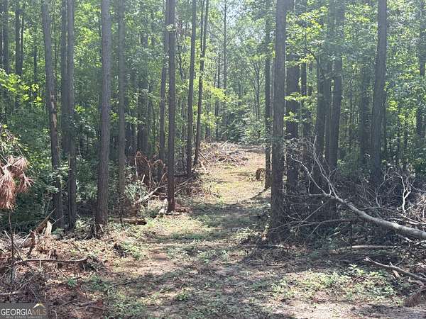 5 Acres of Residential Land for Sale in Waco, Georgia