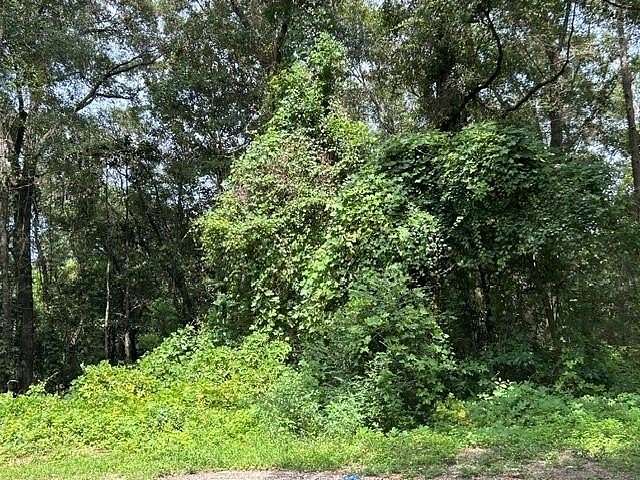 0.8 Acres of Residential Land for Sale in Irvington, Alabama