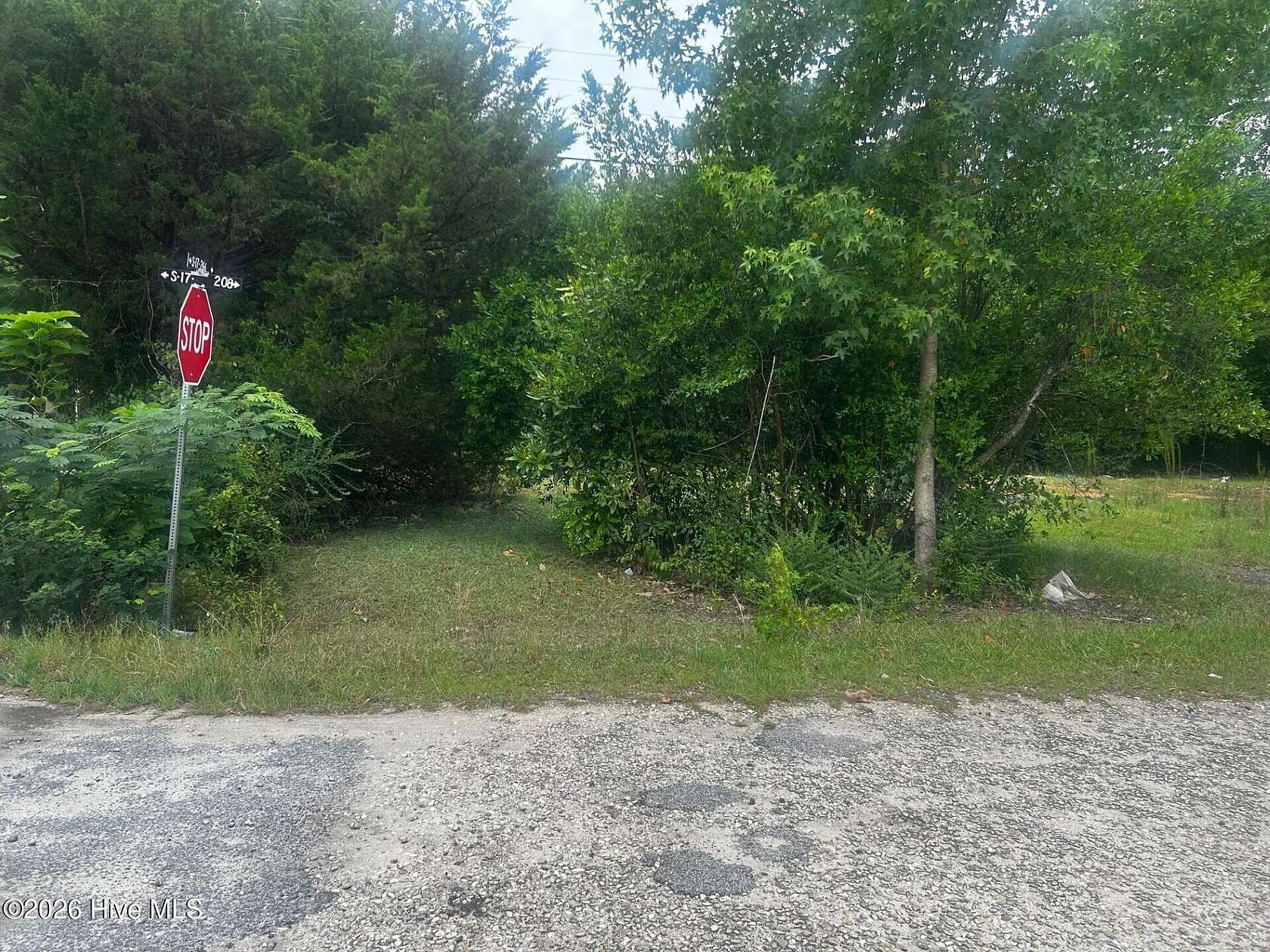 6.6 Acres of Land for Sale in Dillon, South Carolina