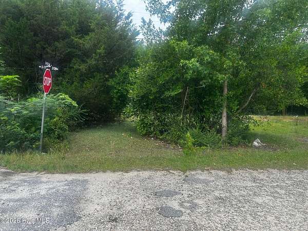 6.6 Acres of Land for Sale in Dillon, South Carolina