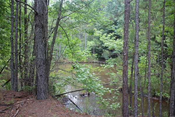 17 Acres of Recreational Land for Sale in Lockesburg, Arkansas