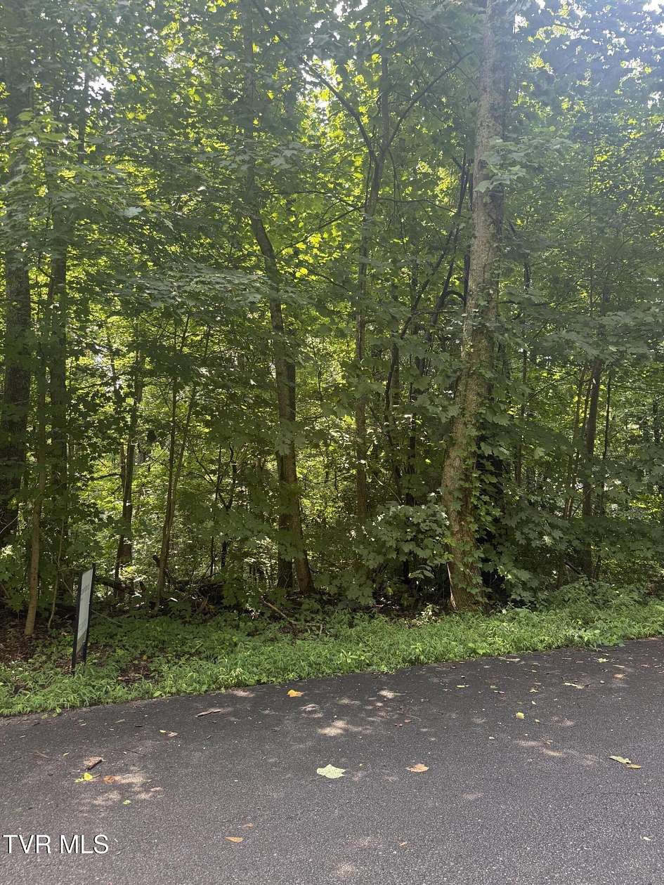 Residential Land for Sale in Johnson City, Tennessee