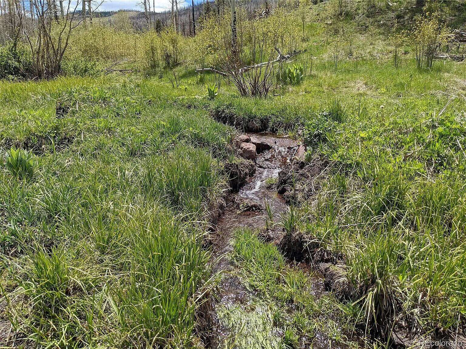 1 Acre of Land for Sale in Fort Garland, Colorado