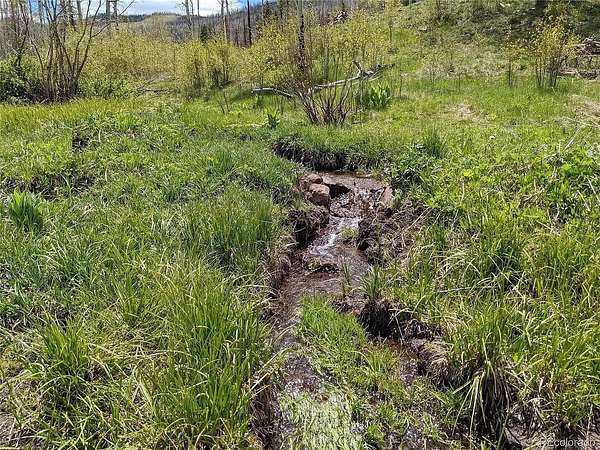 1 Acre of Land for Sale in Fort Garland, Colorado