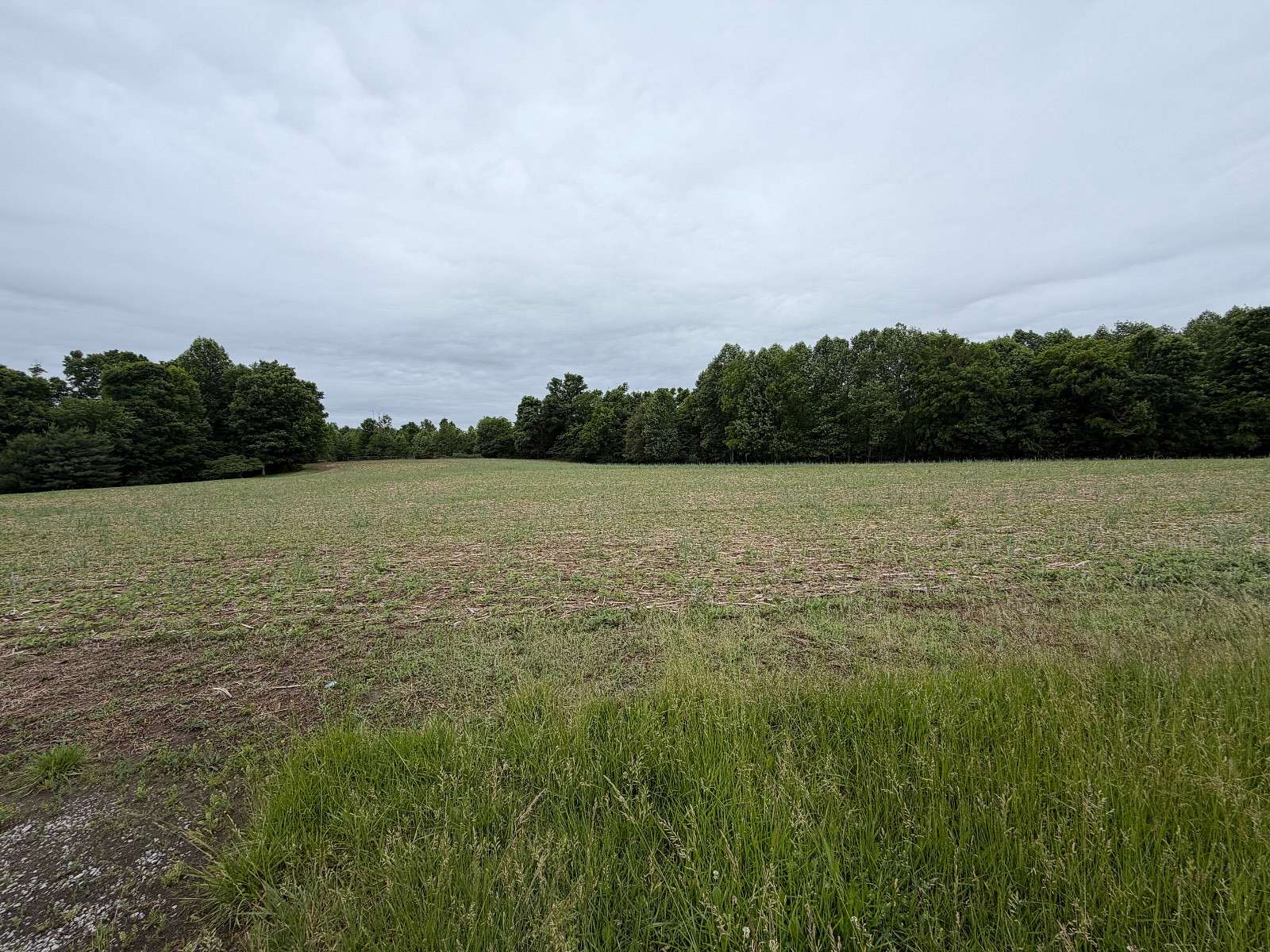 10 Acres of Land for Sale in Vallonia, Indiana