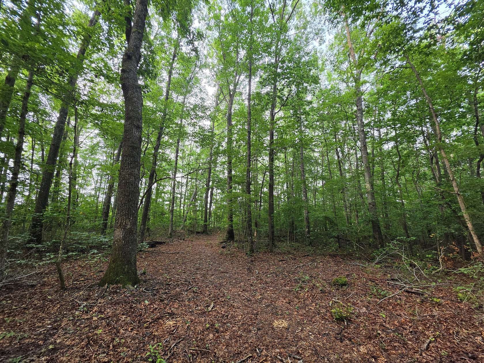 1.2 Acres of Residential Land for Sale in Tracy City, Tennessee