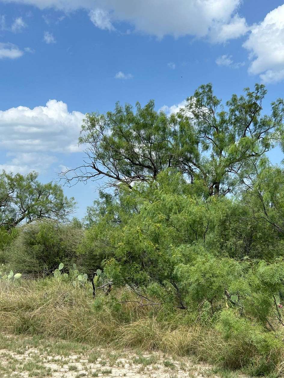 1.27 Acres of Residential Land for Sale in Paint Rock, Texas