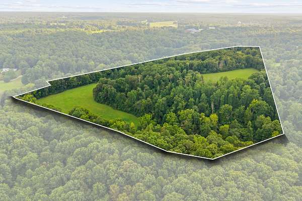 32.1 Acres of Land for Sale in Vanleer, Tennessee