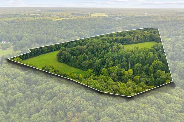 32.1 Acres of Land for Sale in Vanleer, Tennessee