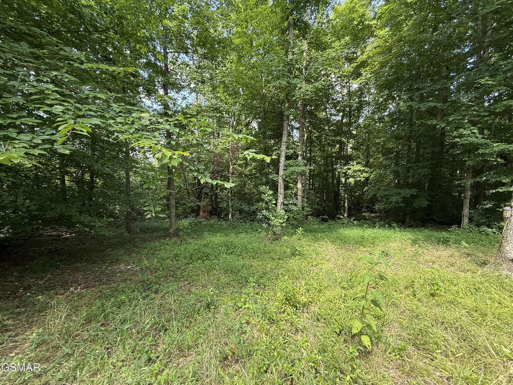7.64 Acres of Residential Land for Sale in Whitleyville, Tennessee