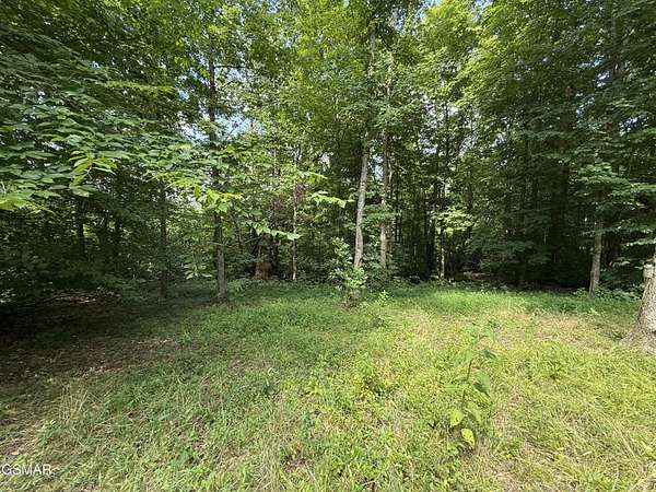 7.64 Acres of Residential Land for Sale in Whitleyville, Tennessee