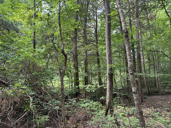 9.44 Acres of Residential Land for Sale in Linden, Tennessee