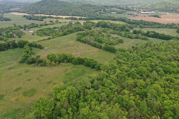 13.3 Acres of Land for Sale in Petersburg, Tennessee