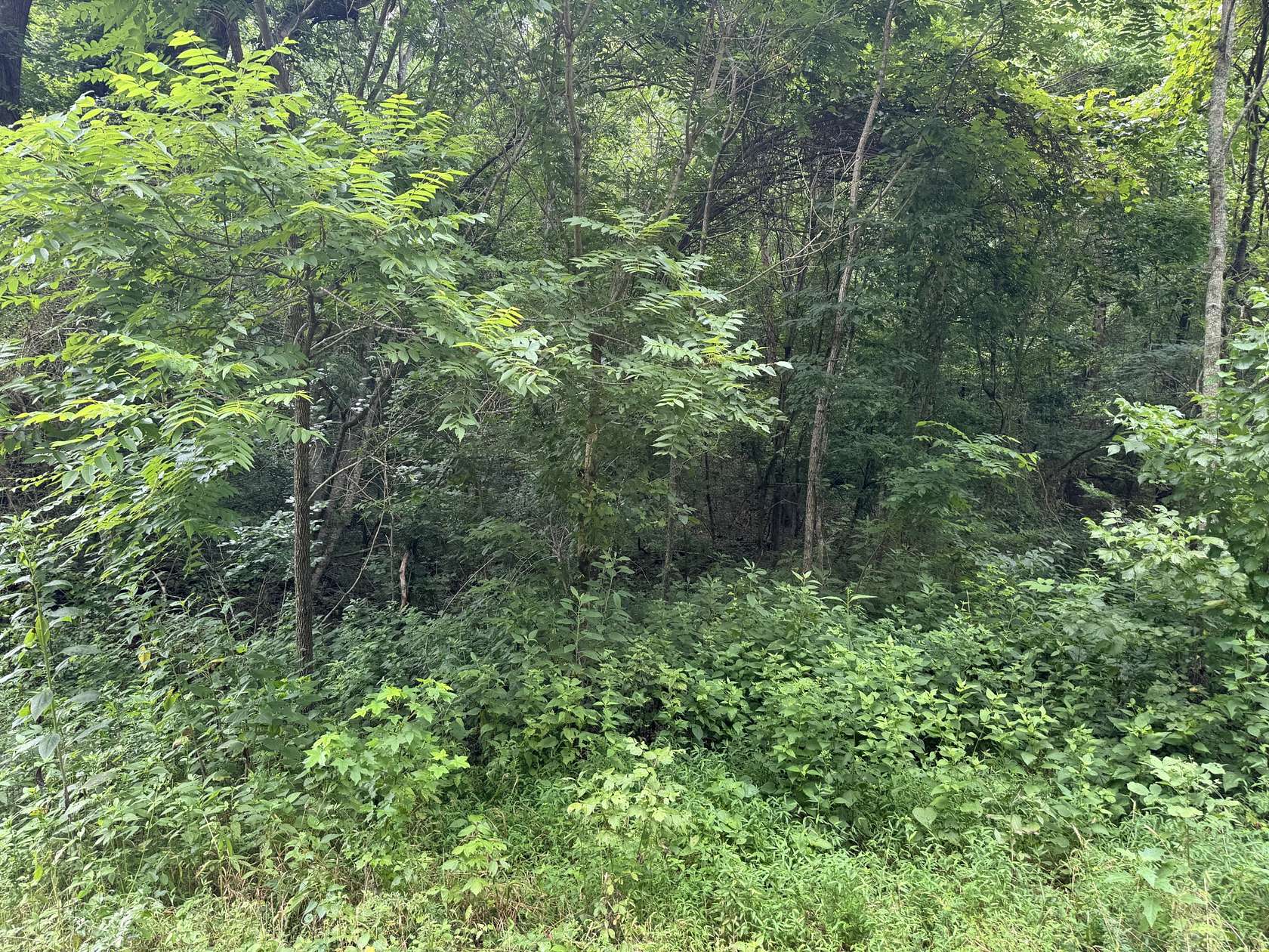 7.3 Acres of Residential Land for Sale in Linden, Tennessee