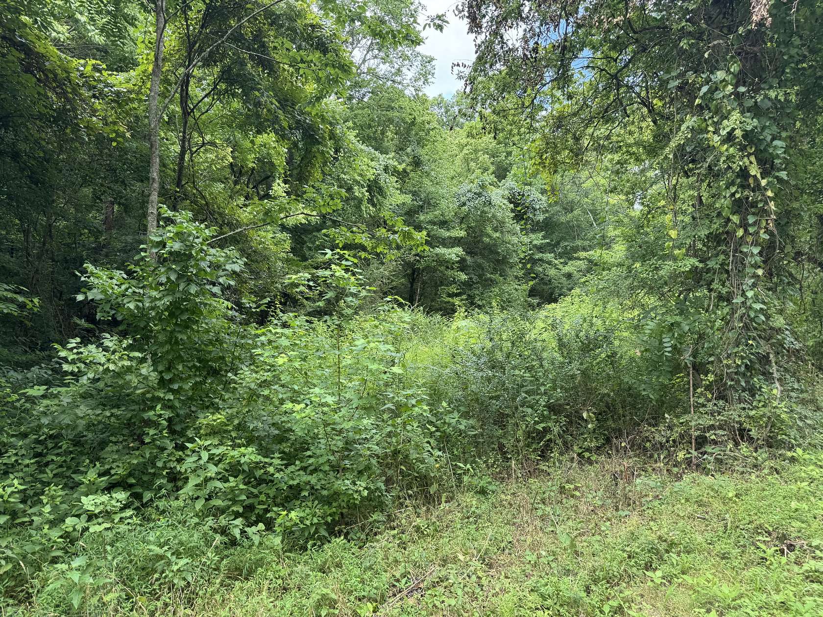 8.43 Acres of Residential Land for Sale in Linden, Tennessee