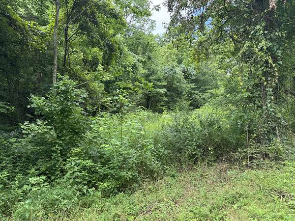 8.43 Acres of Residential Land for Sale in Linden, Tennessee