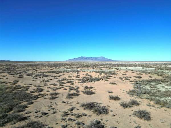 80 Acres of Land for Sale in Columbus, New Mexico