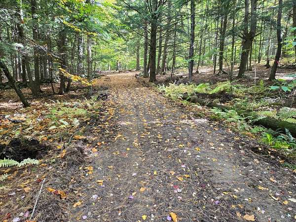 4.63 Acres of Residential Land for Sale in Wolfeboro, New Hampshire