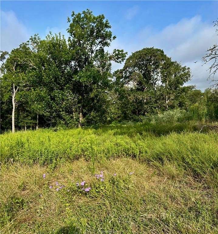 0.32 Acres of Residential Land for Sale in College Station, Texas