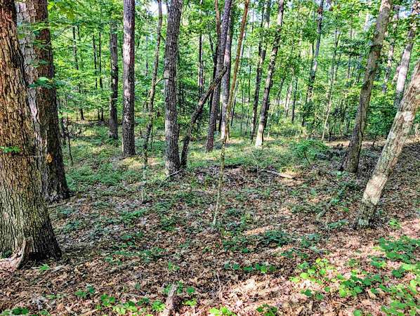 0.25 Acres of Land for Sale in Hot Springs Village, Arkansas