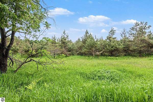 19.3 Acres of Recreational Land for Sale in Harbor Springs, Michigan