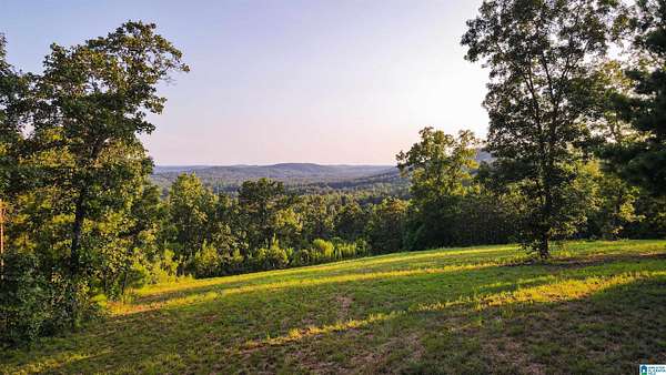 17.7 Acres of Recreational & Residential Land for Sale in Ashland, Alabama