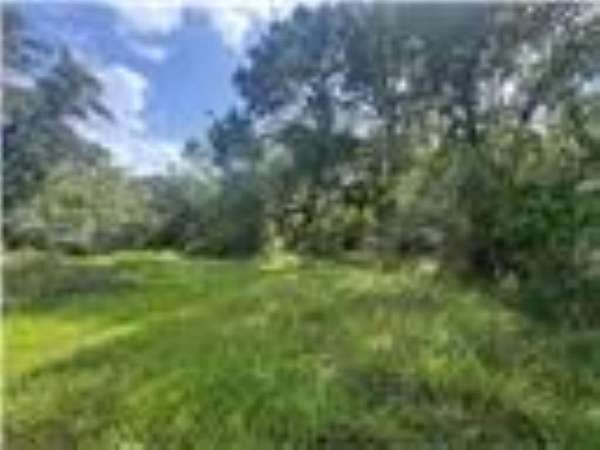 33.9 Acres of Recreational & Residential Land for Sale in Louise, Texas
