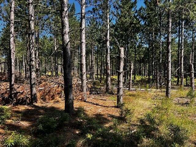 51 Acres of Recreational & Residential Land for Sale in Topinabee, Michigan